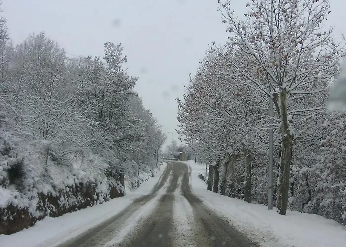 Apartamento Casa Rivera