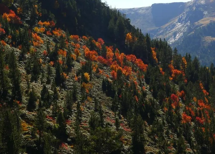 Casa Rivera Apartamento *